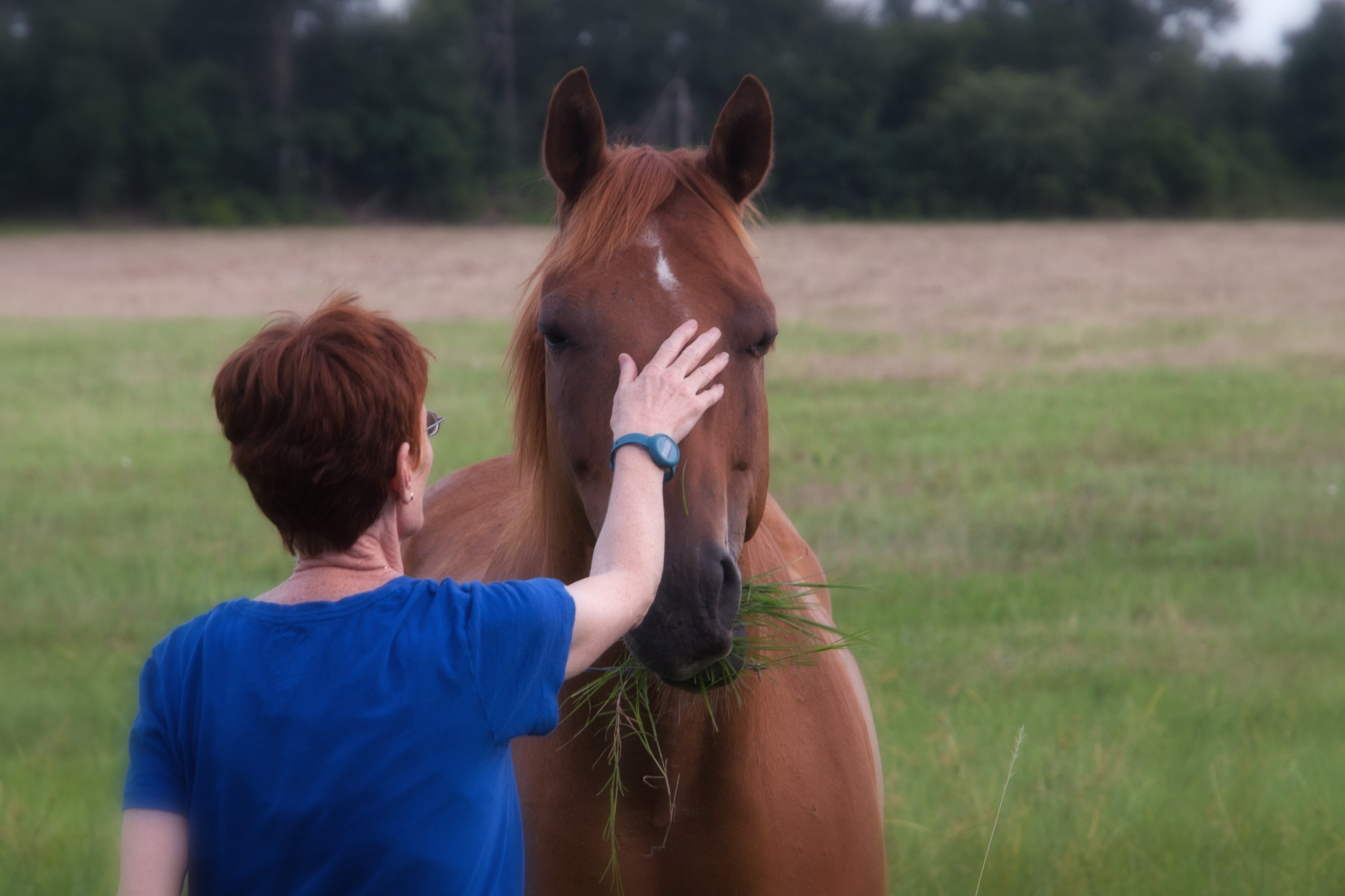 Woman connecting with horse